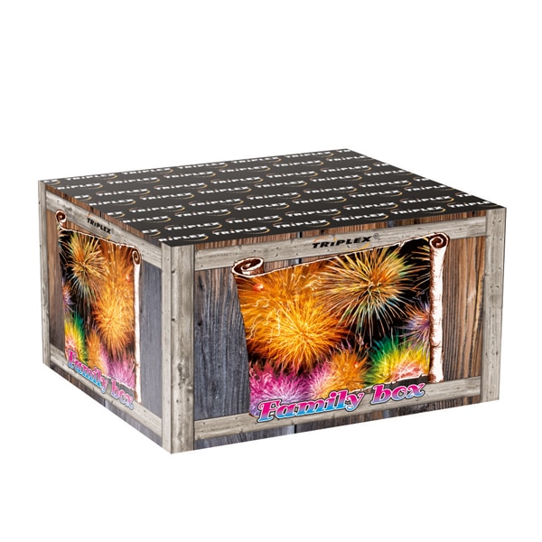 100s-0-8-bateria-family-box-f2-txb909